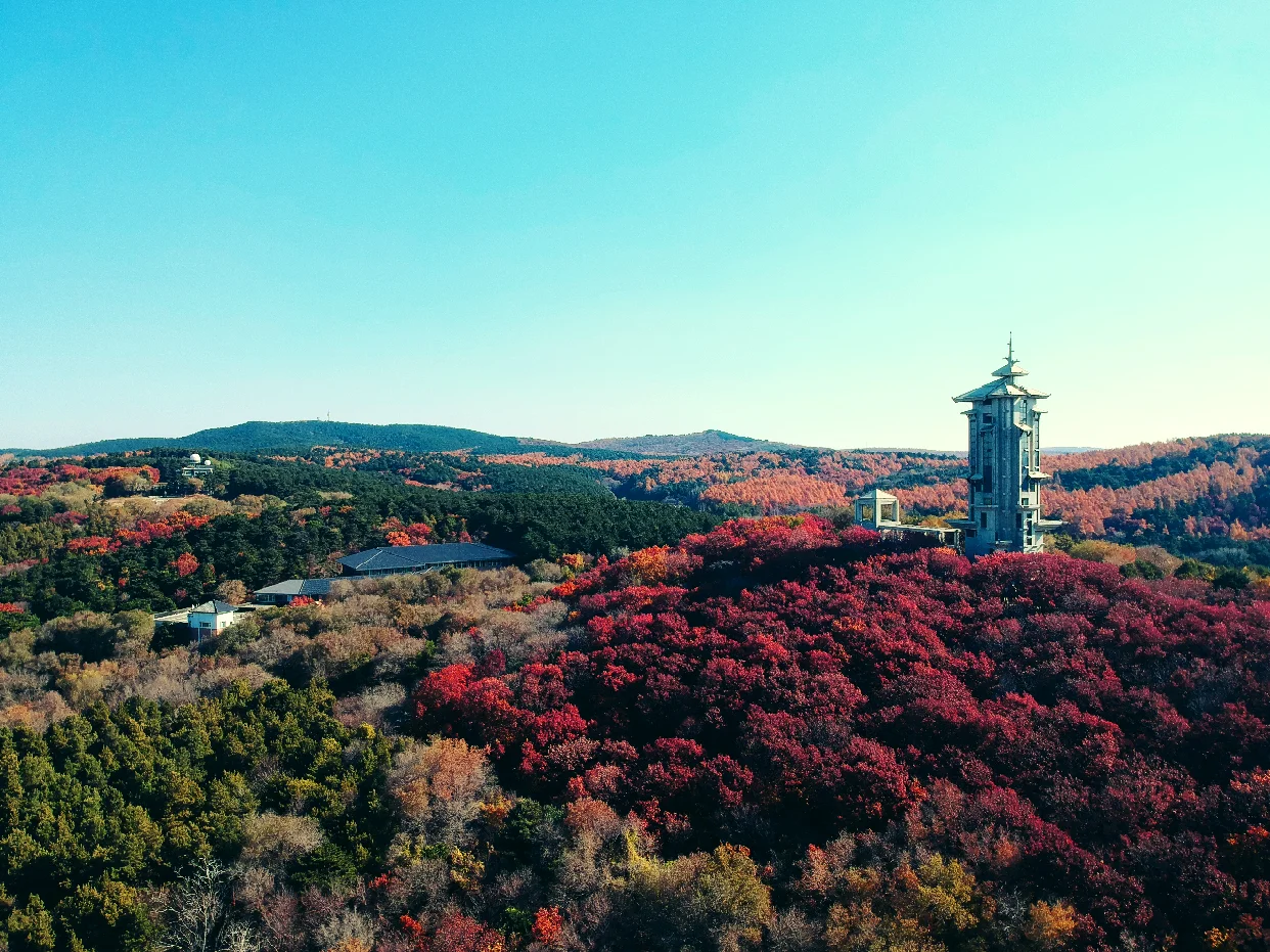 长春 1