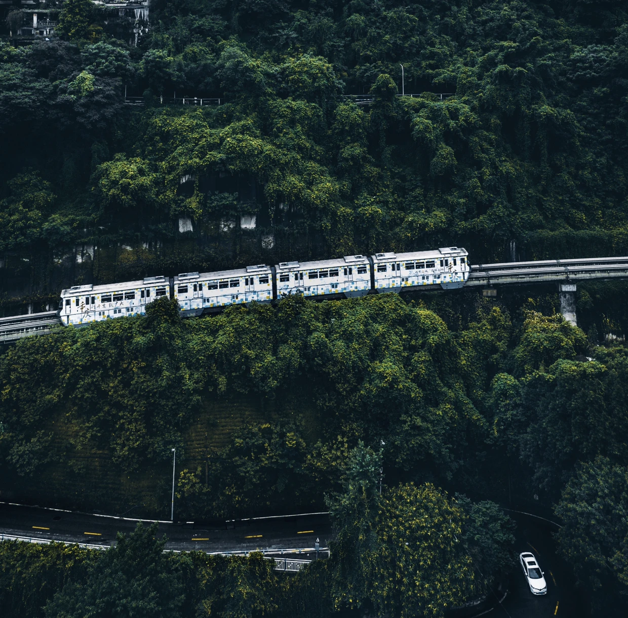 重庆 8