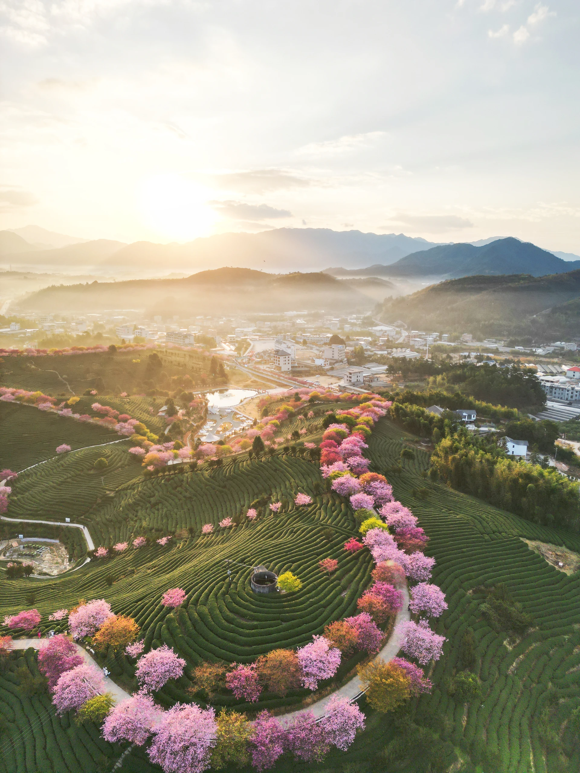 龙岩 12