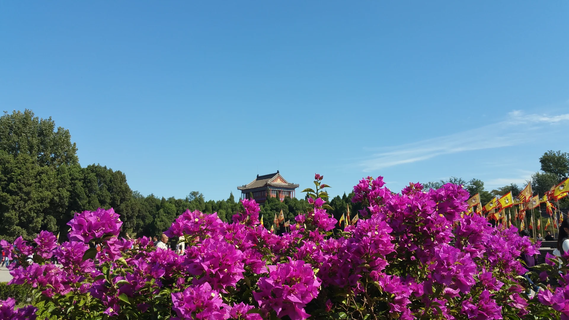 秦皇岛 1