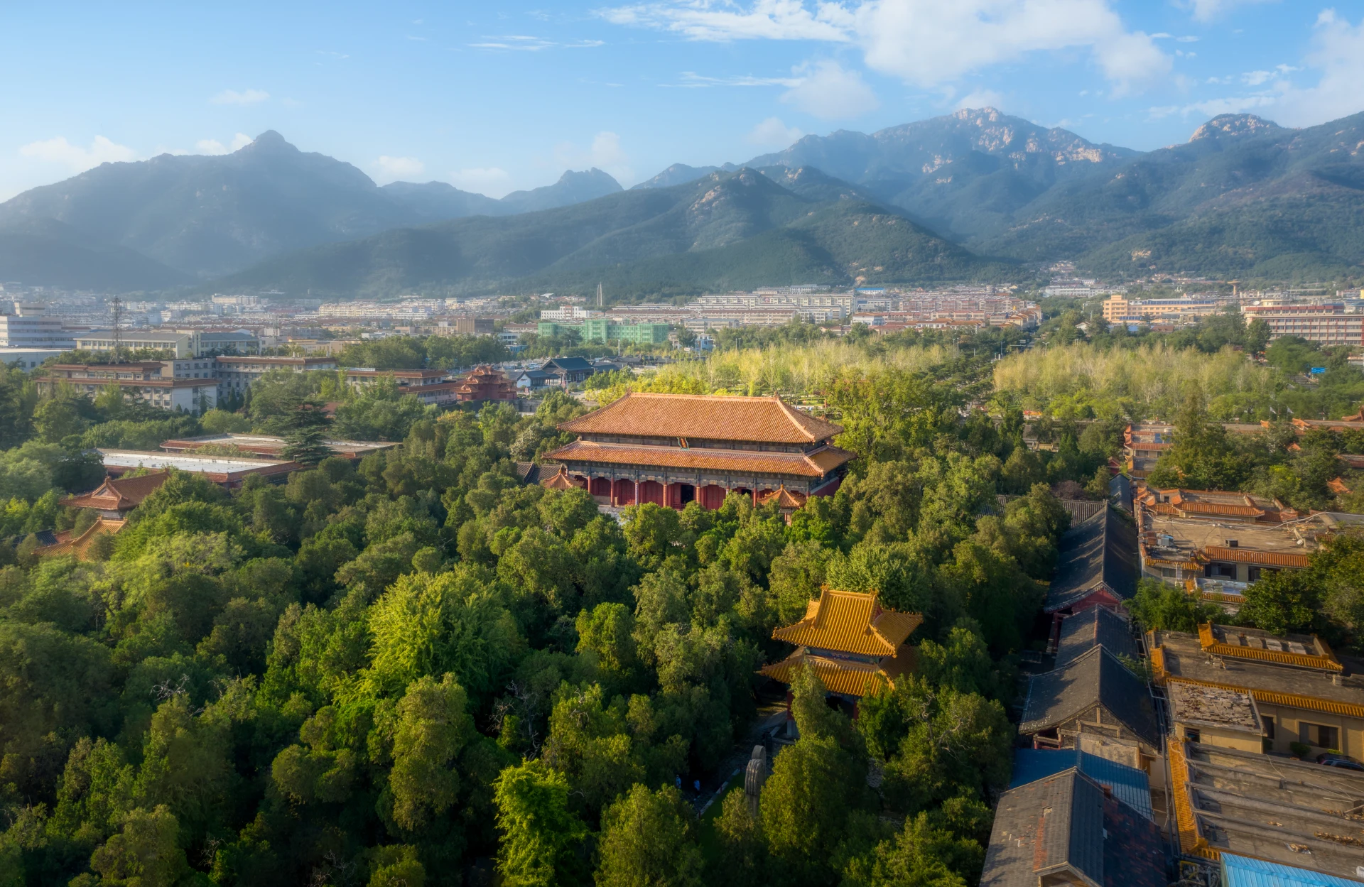泰山 6