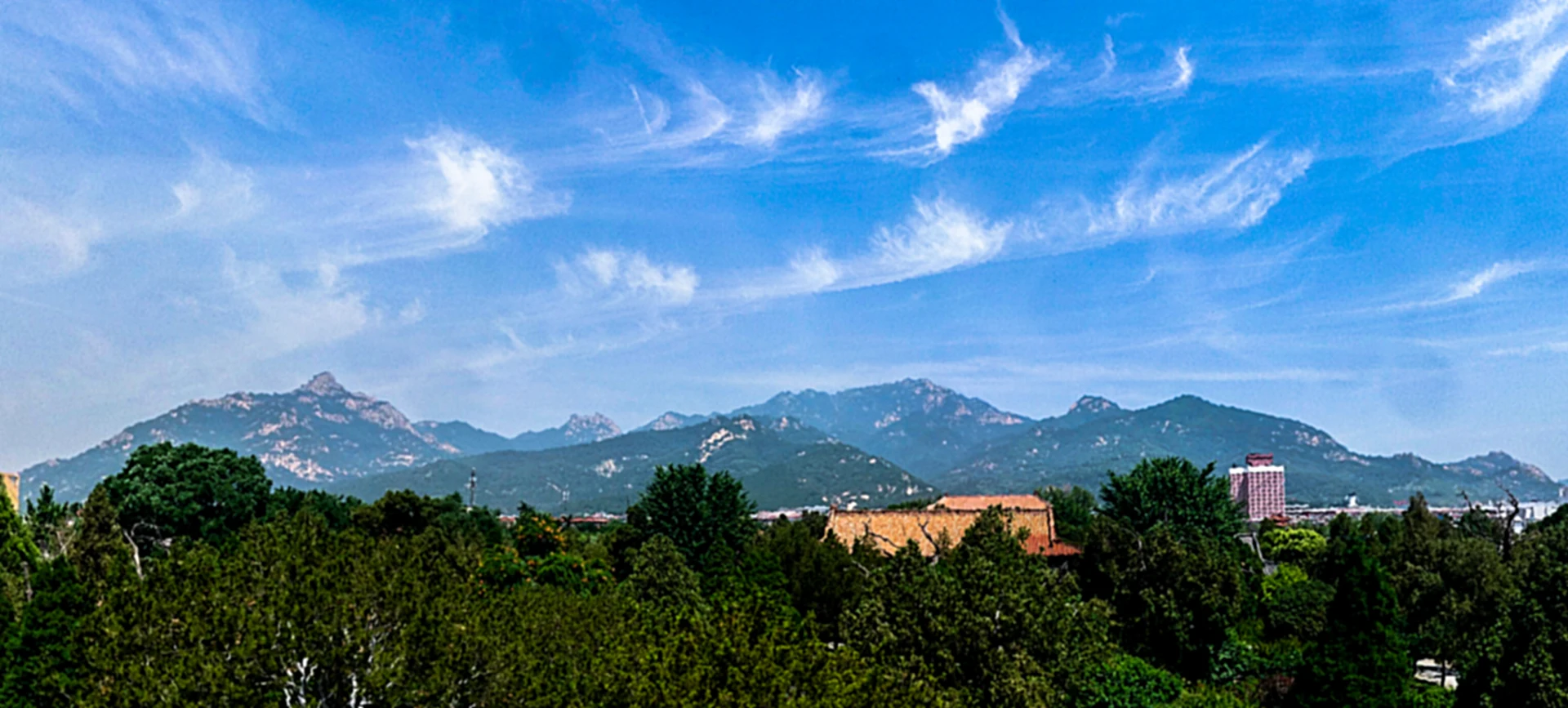 泰山 12