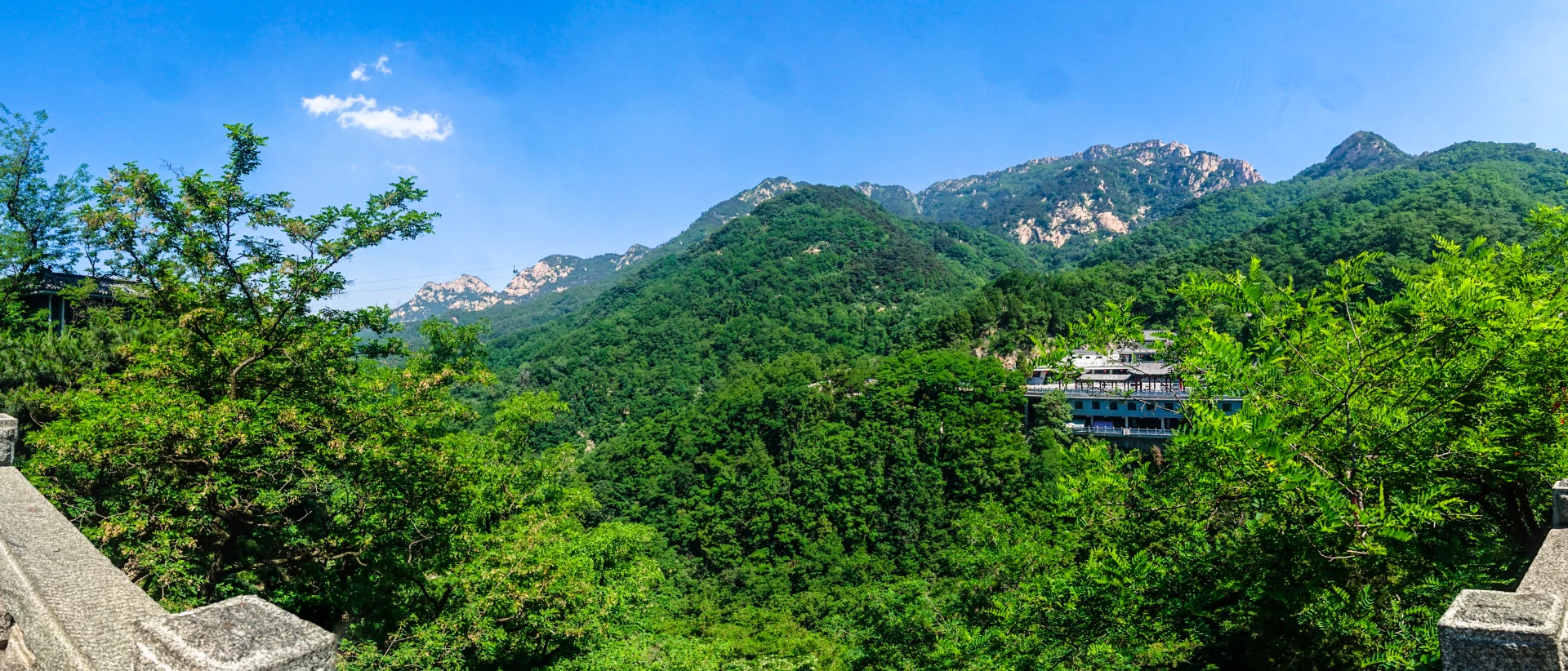 泰山 14